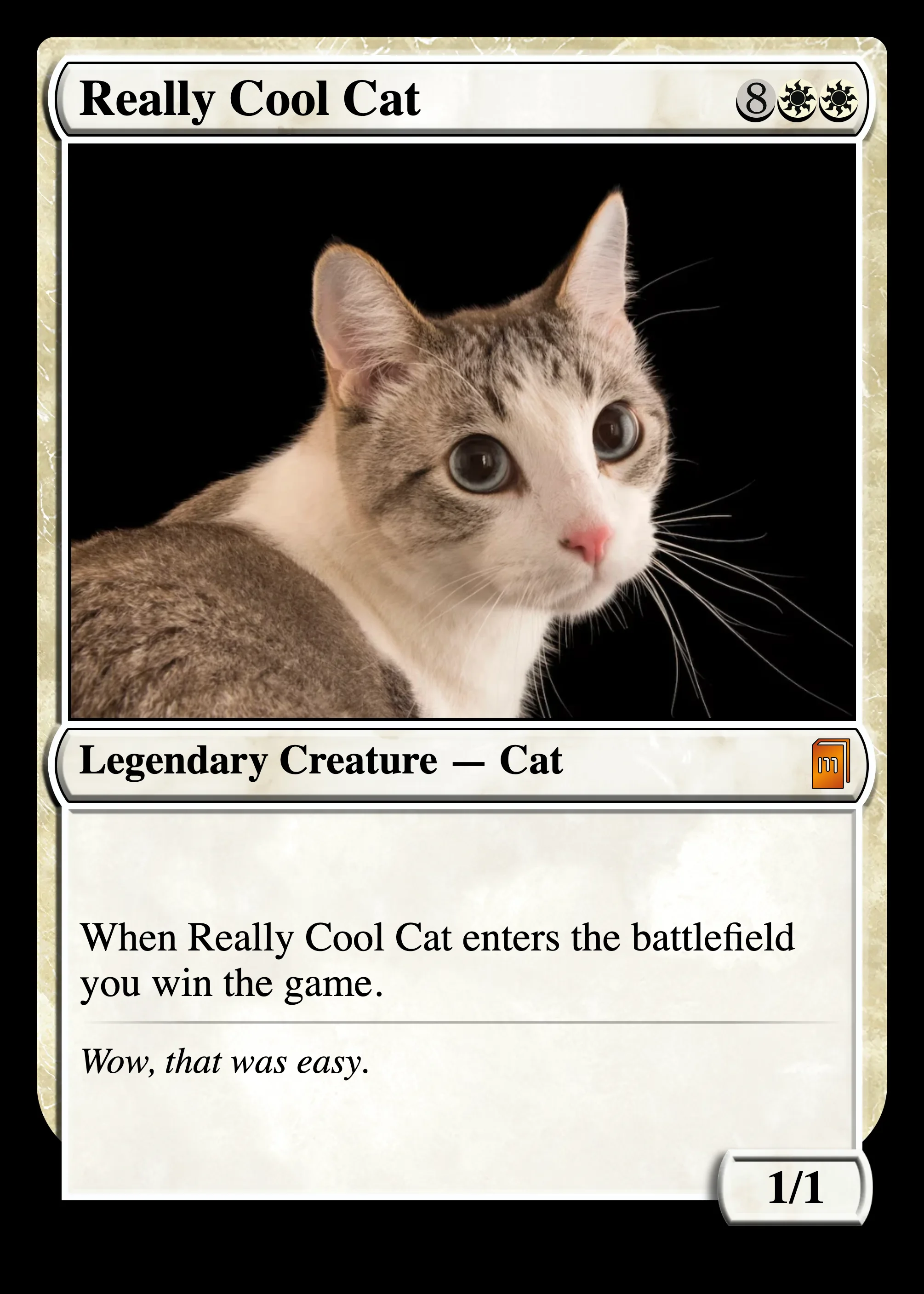 Really Cool Cat